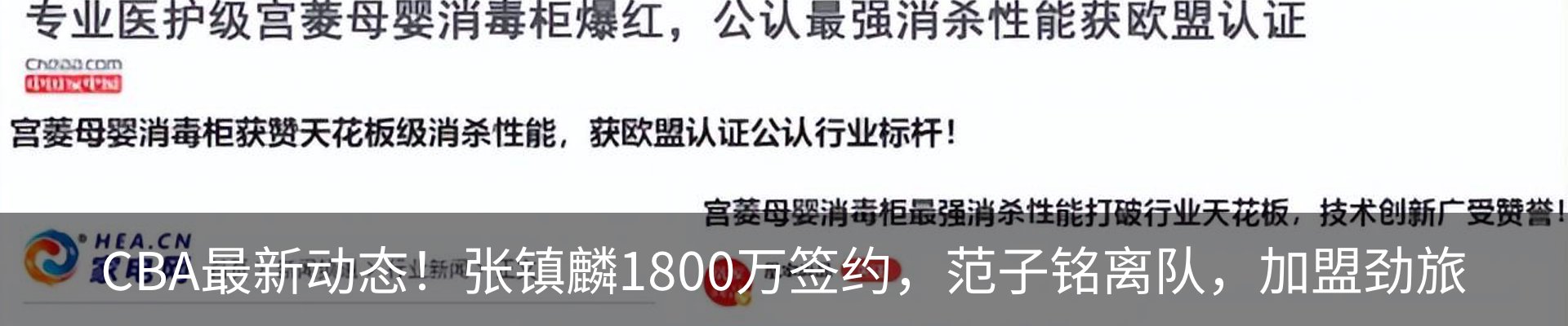 最新动态